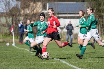 Bild 234 - F SG NieBar - IF Stjernen Flensborg : Ergebnis: 4:1